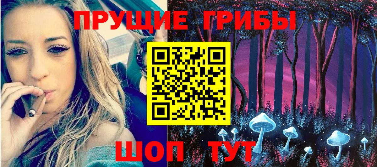 Галлюциногенные грибы мицелий  даркнет сайт  Галлюциногенные грибы GOLDEN TEACHER  Саров 