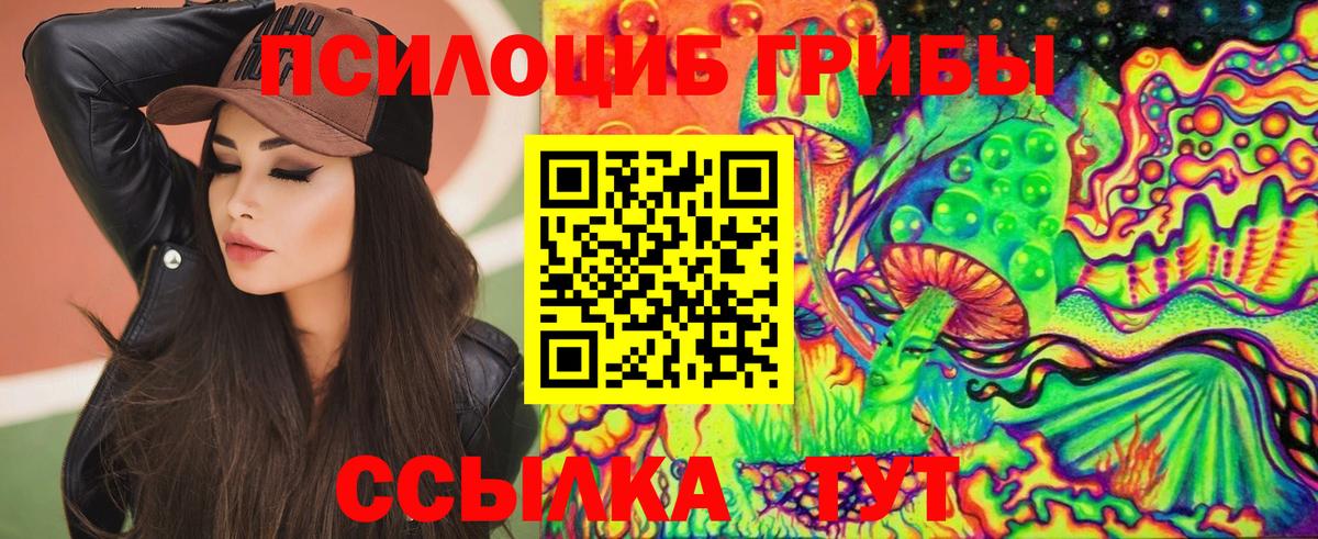 Саров  Псилоцибиновые грибы MAGIC MUSHROOMS  Вход с VPN 