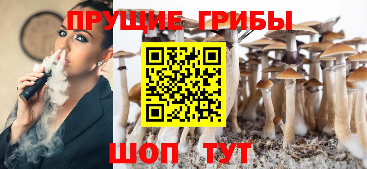 Галлюциногенные грибы Cubensis Саров